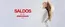 Folheto Caroll em  | Saldos até -50% | 2026-07-07T00:00:00.000Z - 2026-07-21T00:00:00.000Z