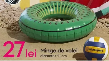 Minge de volei