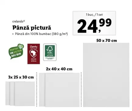 Pânză pictură