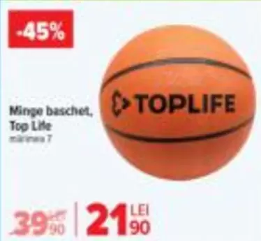 Minge baschet