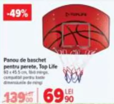 Panou de baschet pentru perete