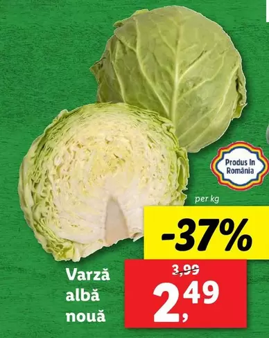 Varză albă nouă