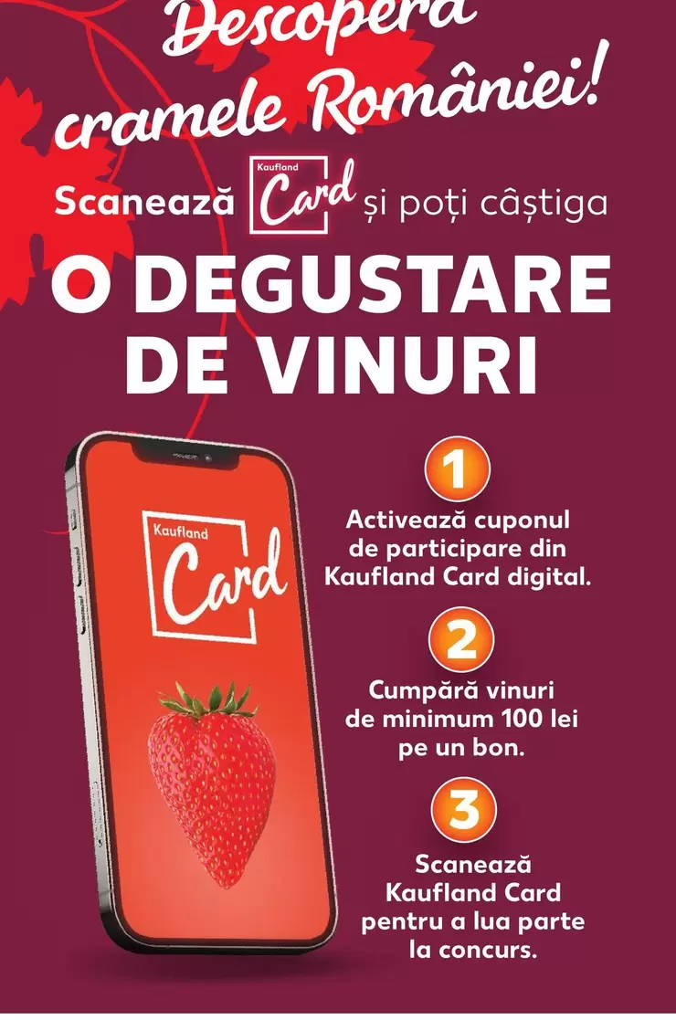 DEGUSTARE DE VINURI