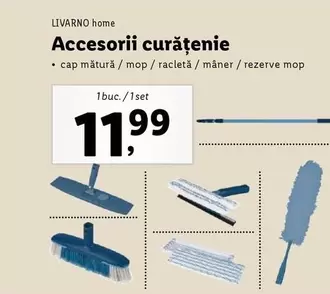 Accesorii curățenie