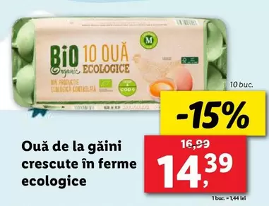 Ouă de la găini crescute în ferme ecologice