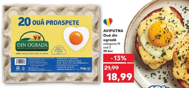 Ouă