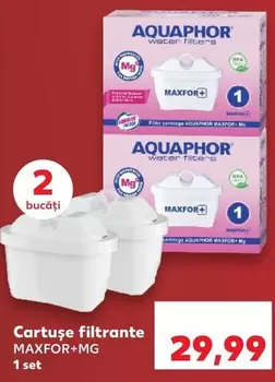 Cartuşe filtrante MAXFOR+MG