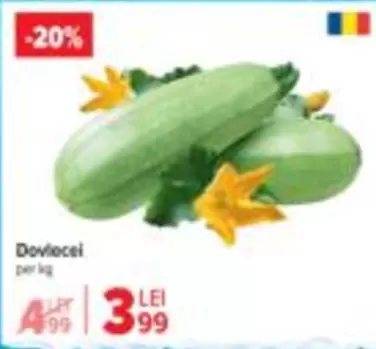 Dovlecel
