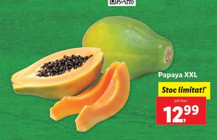 Papaya XXL