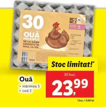 Ouă