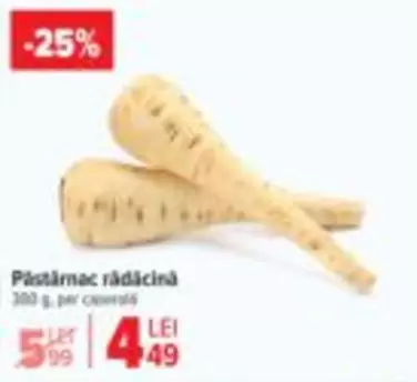 Păstârnac rădăcină