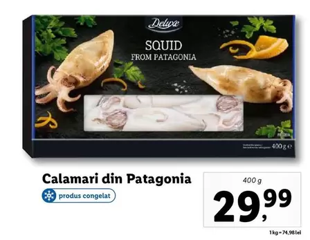 Patagonia - Calamari din