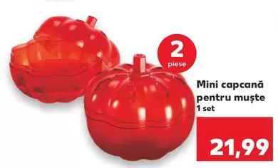 Mini capcană pentru muște