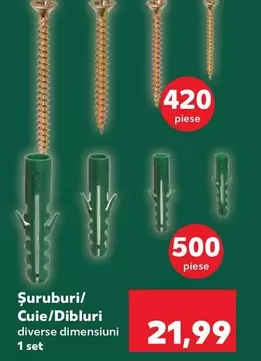 Şuruburi/ Cuie/Dibluri
