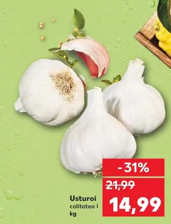 Usturoi