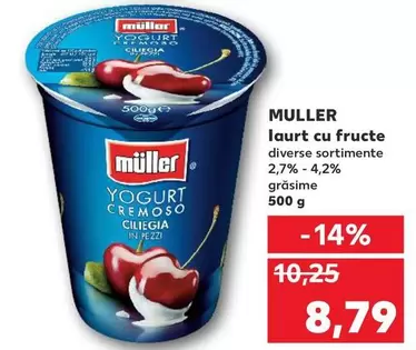 Laurt Cu Fructe