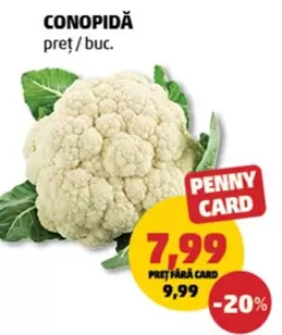 CONOPIDĂ