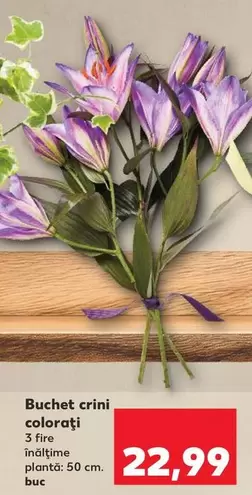 Buchet crini colorați
