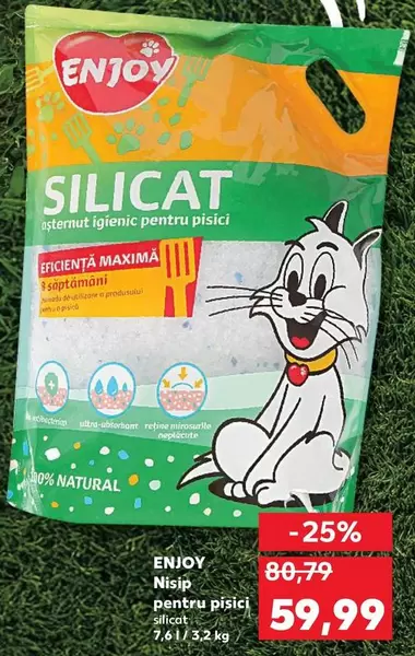 Nisip pentru pisici