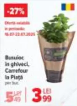 Busuioc in ghiveci
