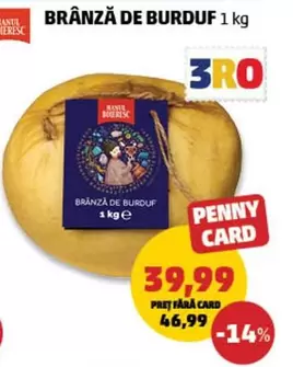 BRÂNZĂ DE BURDUF
