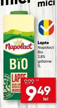 Lapte