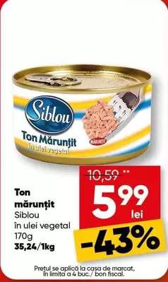 Ton Mărunţit
