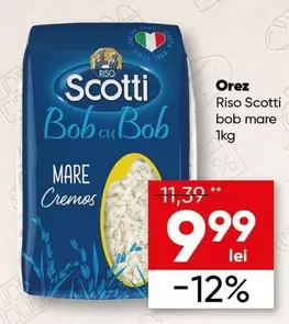 Riso Scotti bob mare