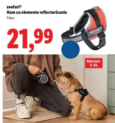 Ham cu elemente reflectorizante