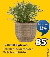 SVARTBAK ghiveci