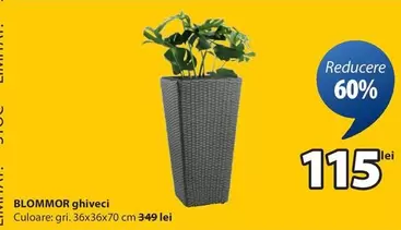 BLOMMOR ghiveci