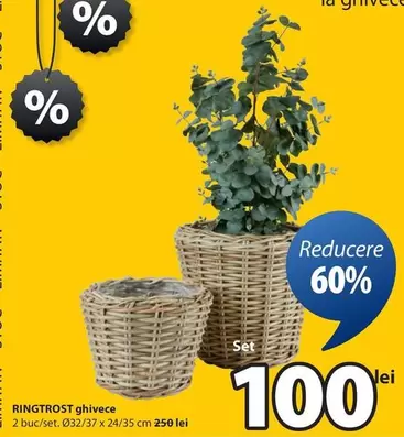 RINGTROST ghivece
