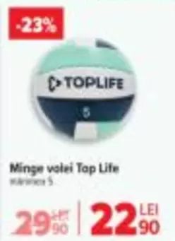 Minge volei