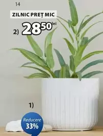 oală de plante ceramice