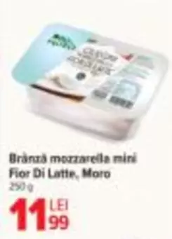 mozzarella mini Fior Di Latte