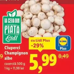 Ciuperci Champignon albe