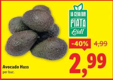 Avocado Hass