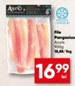 File Pangasius