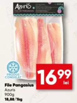 File Pangasius