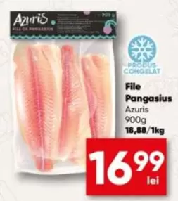 File Pangasius
