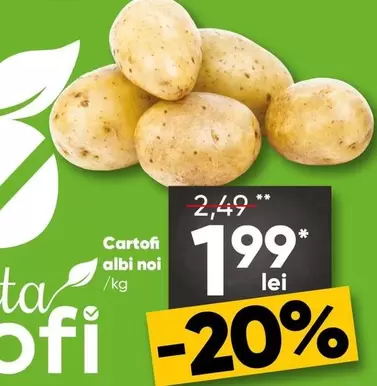 Cartofi albi noi