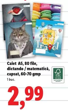 Caiet A5, 80 file