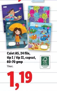 Caiet A5, 24 file