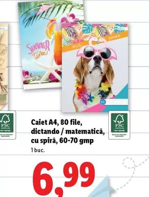 Caiet A4, 80 file, dictando / matematică, cu spiră, 60-70 gmp