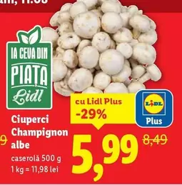Ciuperci Champignon albe