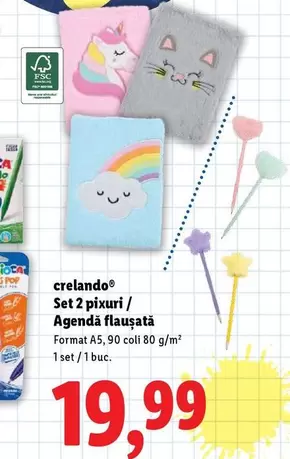 Set 2 pixuri / Agenda flauşată