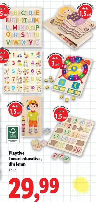 Jocuri educative, din lemn