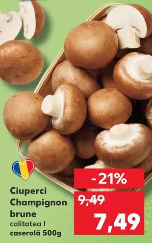 Ciuperci Champignon brune
