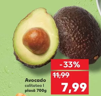 Avocado