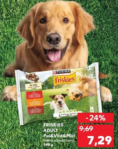 Purina - ADULT Pui& Vita&Miel